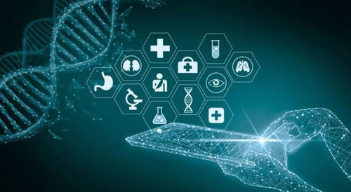 2022年医药行业 一曲冰与火之歌