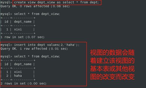 MySQL开发关键技术详解 五大约束、自动增长、数据删除与清空、索引与视图及其在计算机软硬件技术开发中的应用